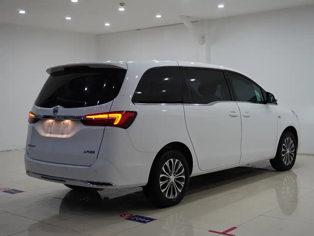 Buick GL8 Land Official Cabin 652 T Comfort