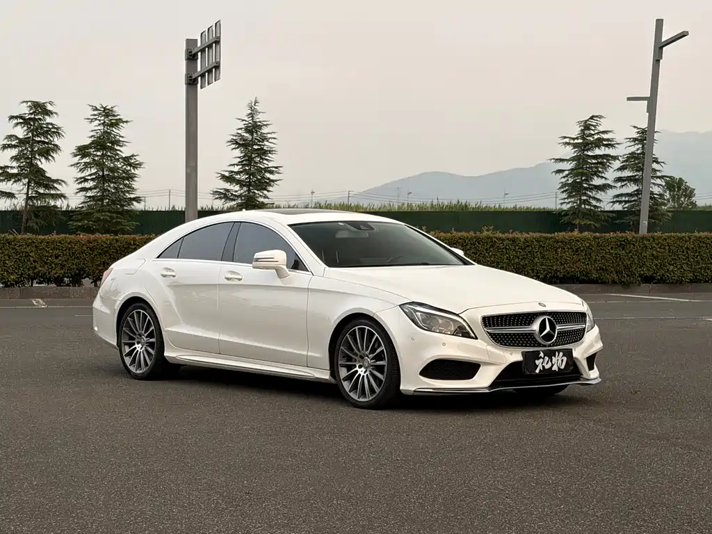 Mercedes-Benz CLS CLS 320 Colorful