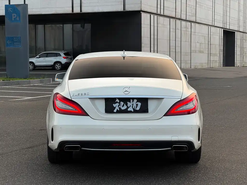 Mercedes-Benz CLS CLS 320 Colorful