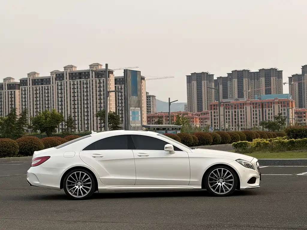 Mercedes-Benz CLS CLS 320 Colorful