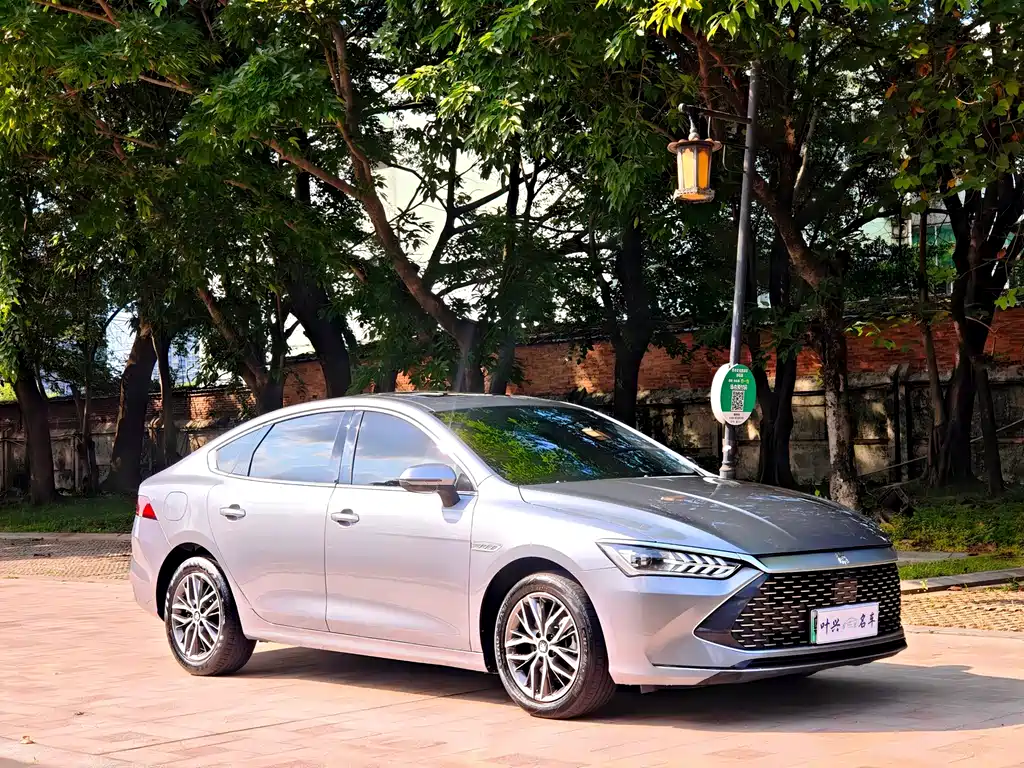 Qin PLUS DM-i 55 KM Flagship