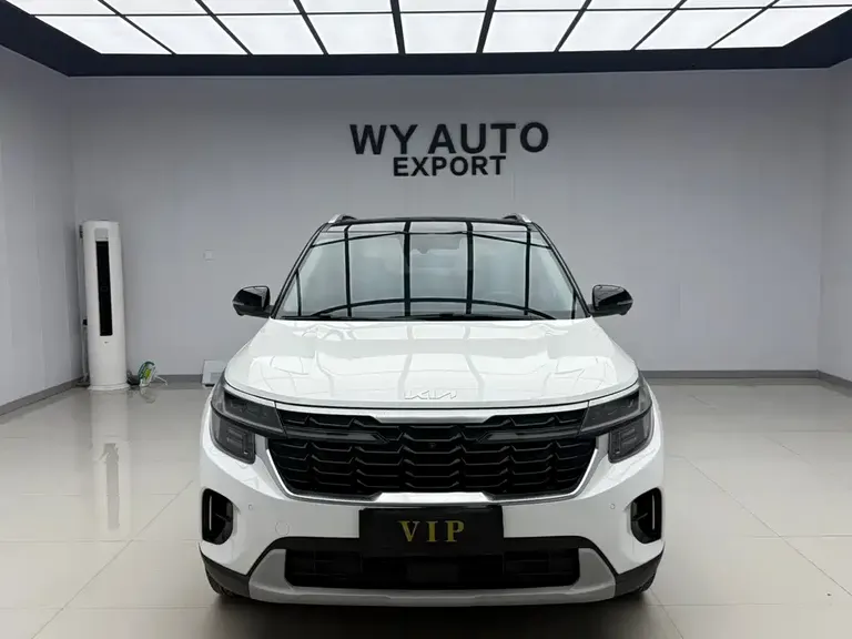 Kia Seltos 1.5 L CVT Distinguished
