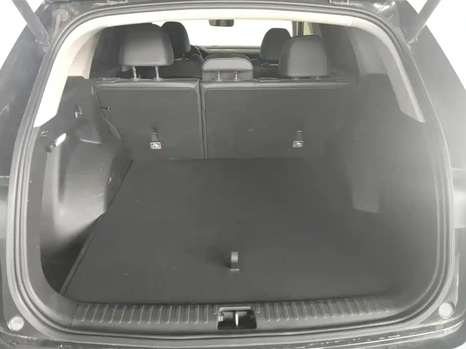 Xingyue L 2.0 TD High Power Auto 2 WD Flagship