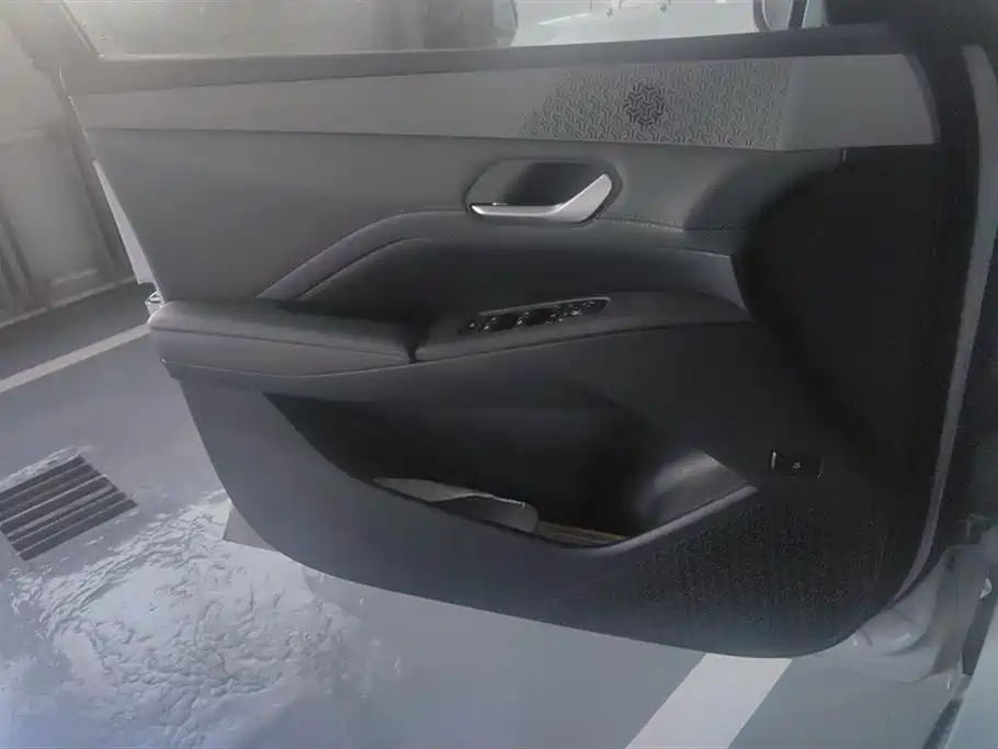Qin PLUS DM-i Smart Drive 55 KM Leading