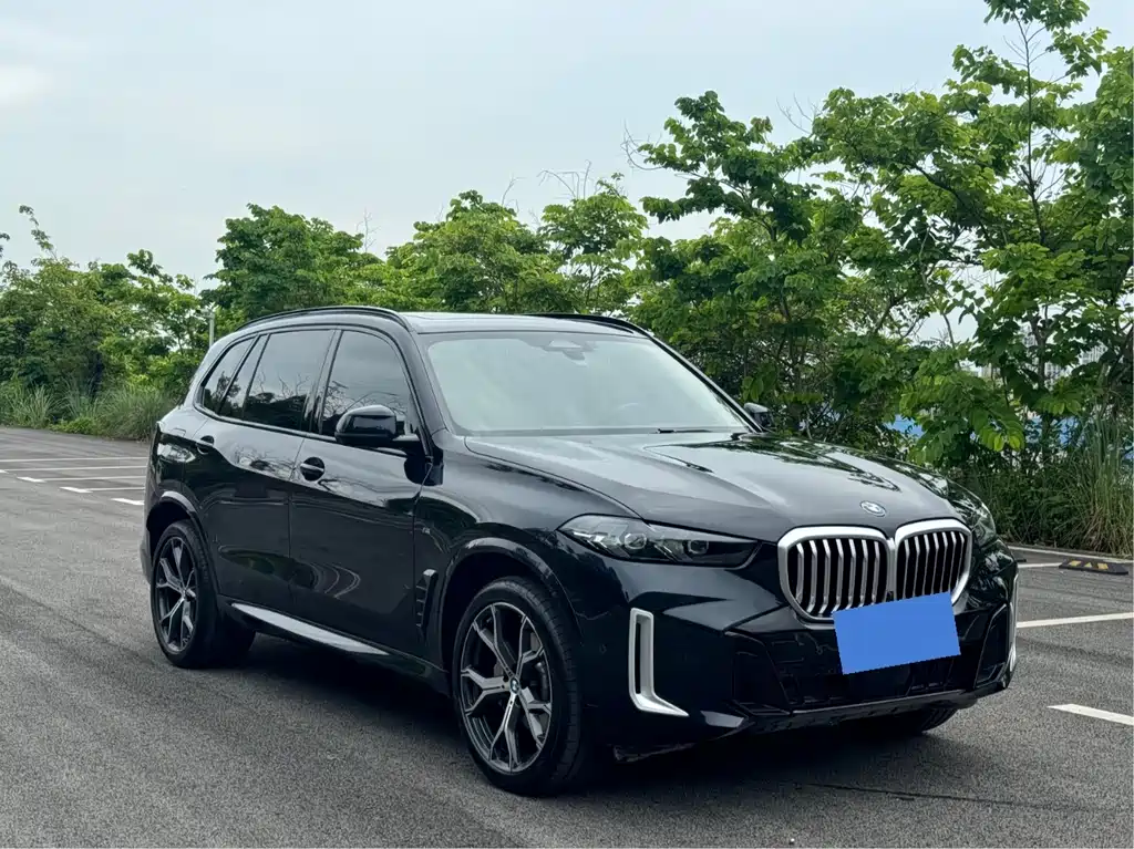 BMW X5 xDrive 30 Li Premium M Sport Night Package