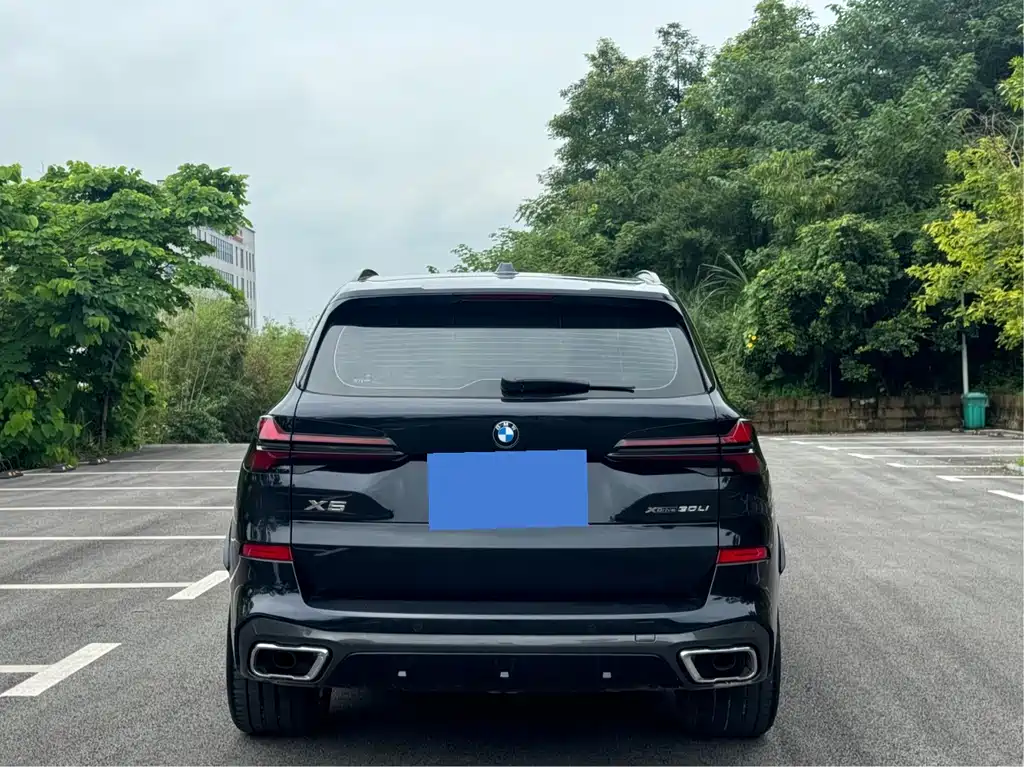 BMW X5 xDrive 30 Li Premium M Sport Night Package