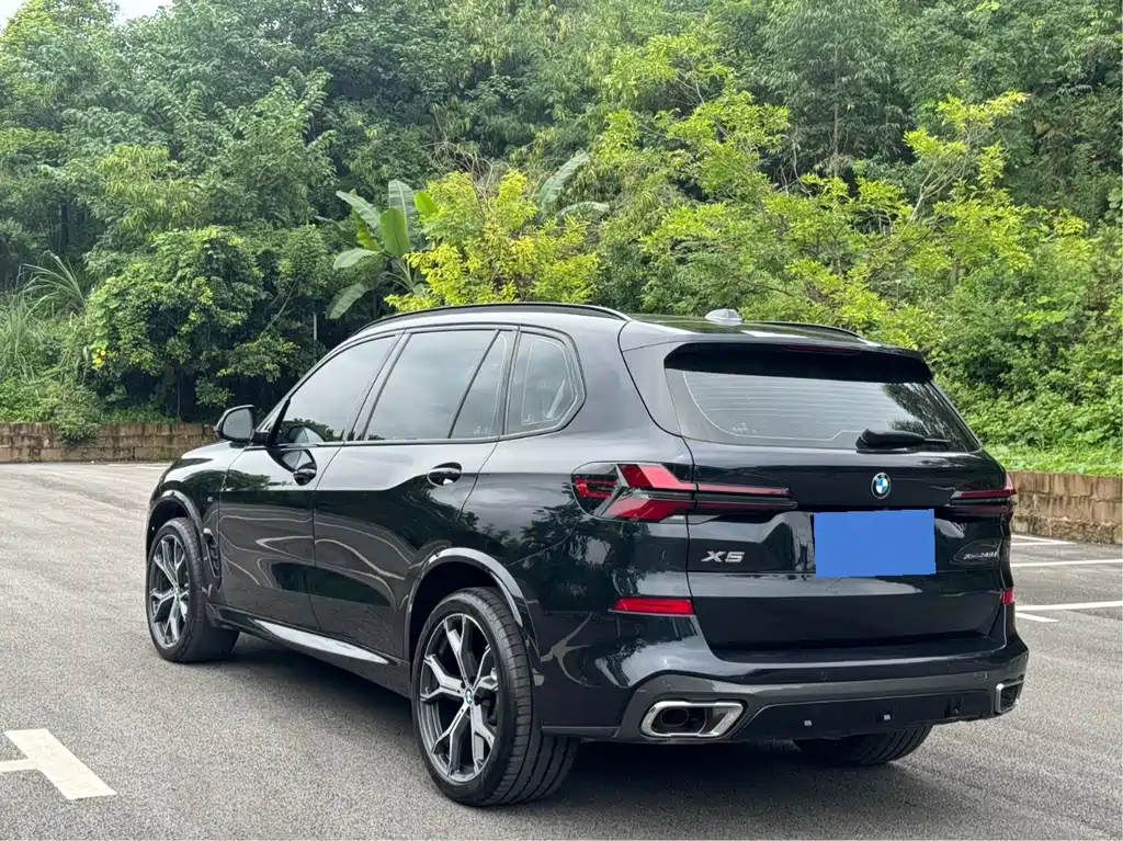 BMW X5 xDrive 30 Li Premium M Sport Night Package