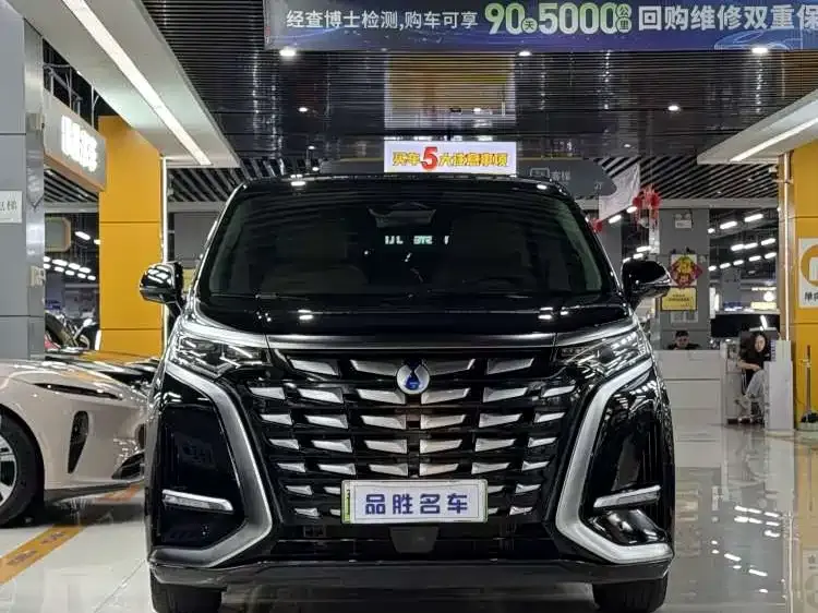 Denza D9 DM-i 980 4 WD Honored