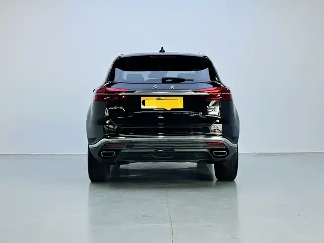 Hongqi HS5 2.0 T Connected Flagship Enjoyment