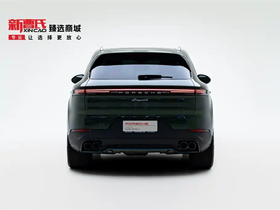 Cayenne Cayenne 3.0 T Power Speed