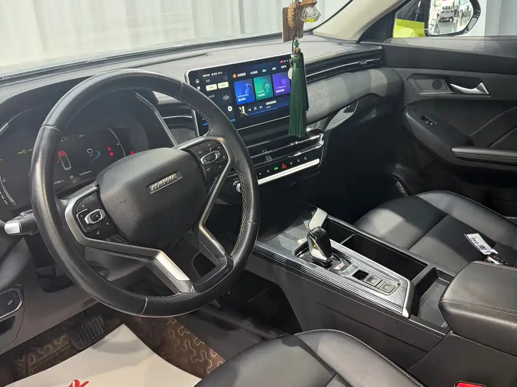 Haval Chitu Power Enjoyment 1.5 T Bronze Rabbit