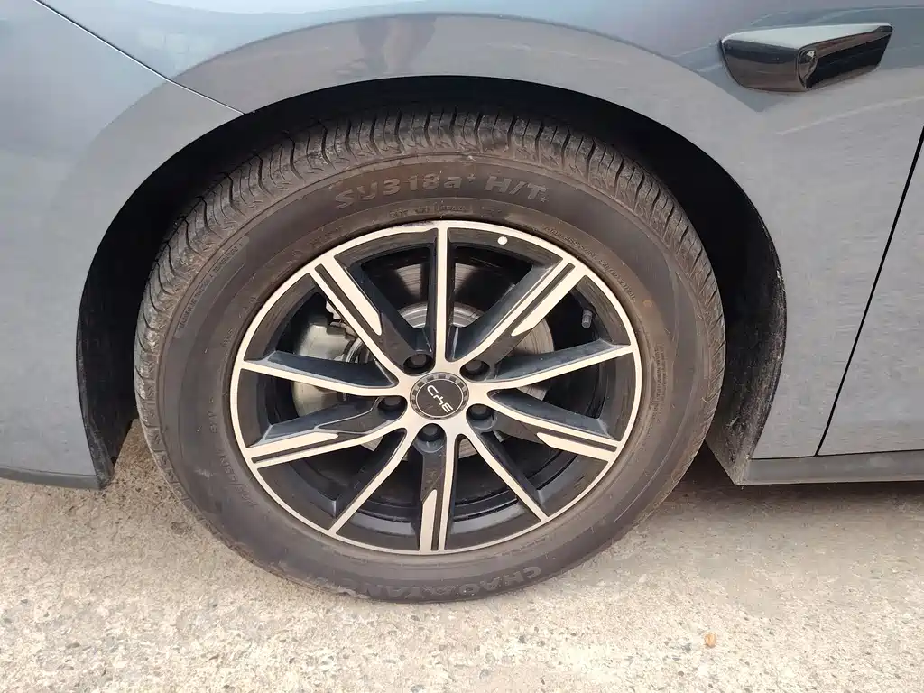 Seal 06 DM-i Smart Drive 120 KM Honored
