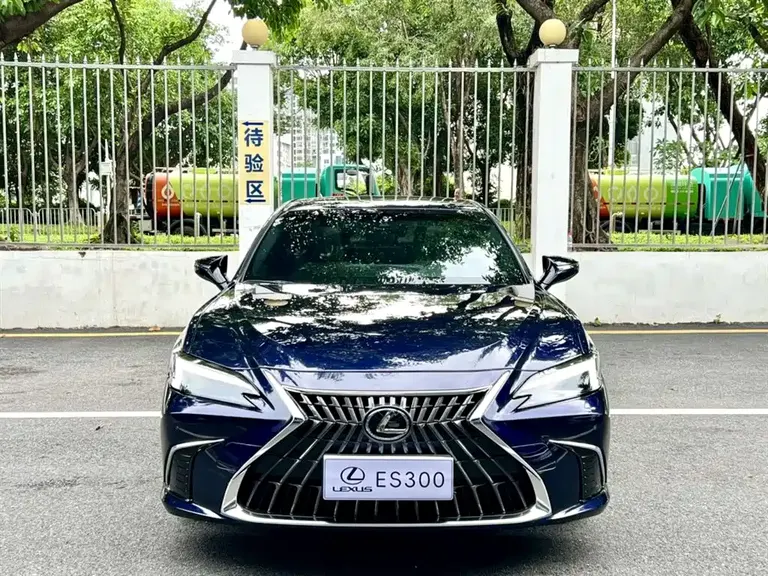 Lexus ES 300 h Premium Enjoyment