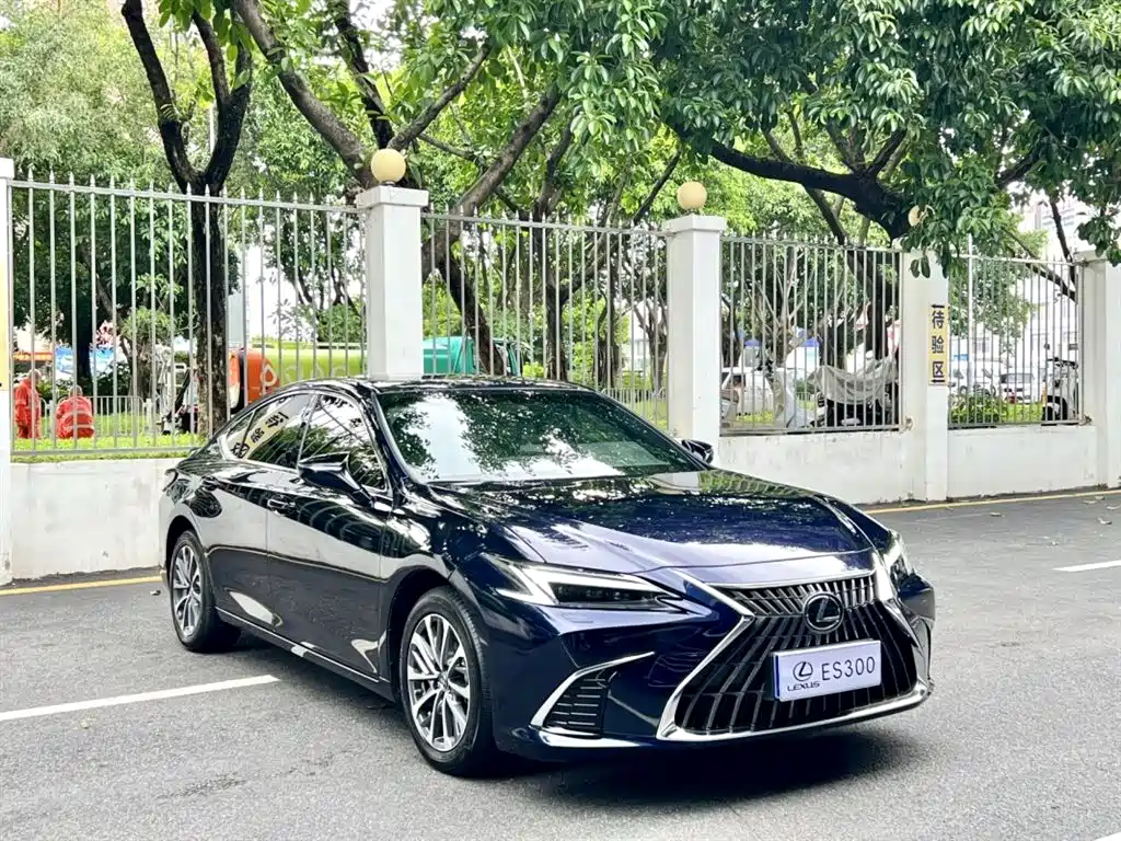 Lexus ES 300 h Premium Enjoyment