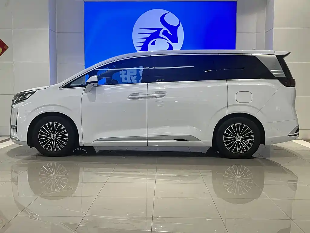 Denza D9 DM-i 1050 Premium
