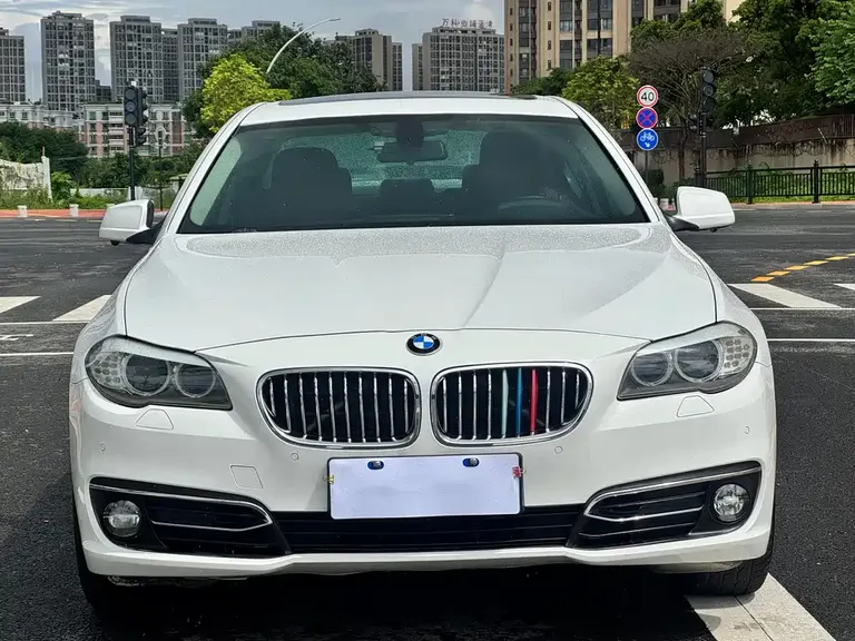BMW 5 Series 523 Li Leading