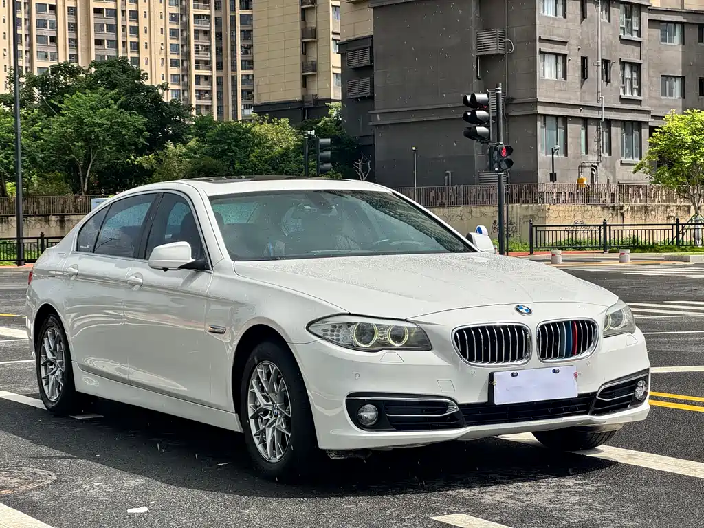 BMW 5 Series 523 Li Leading