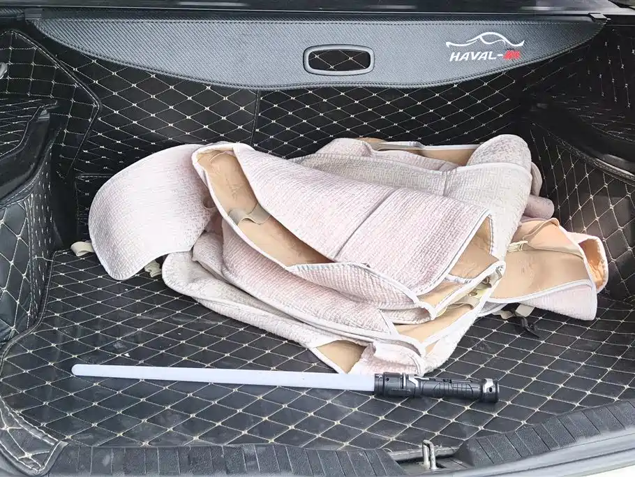 Haval M6 PLUS 1.5 T DCT Luxury Connected