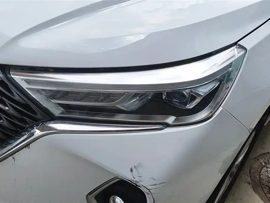 Haval M6 PLUS 1.5 T DCT Luxury Connected