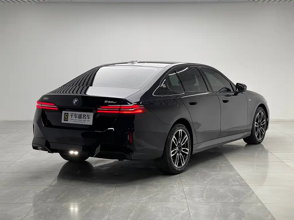 BMW 5 Series 530 Li Leading M Sport Package