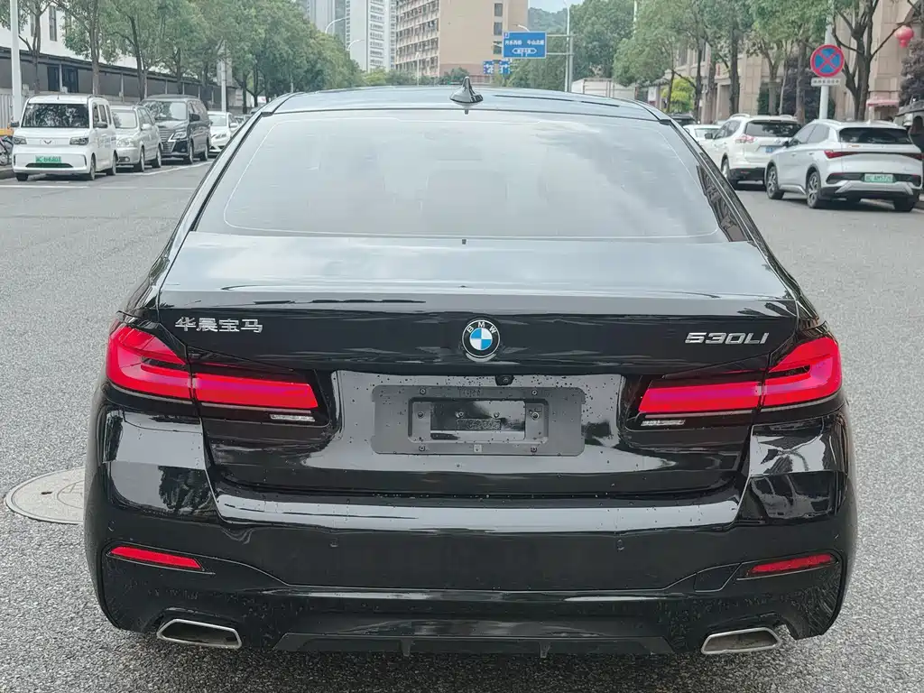 BMW 5 Series 530 Li Leading M Sport Package