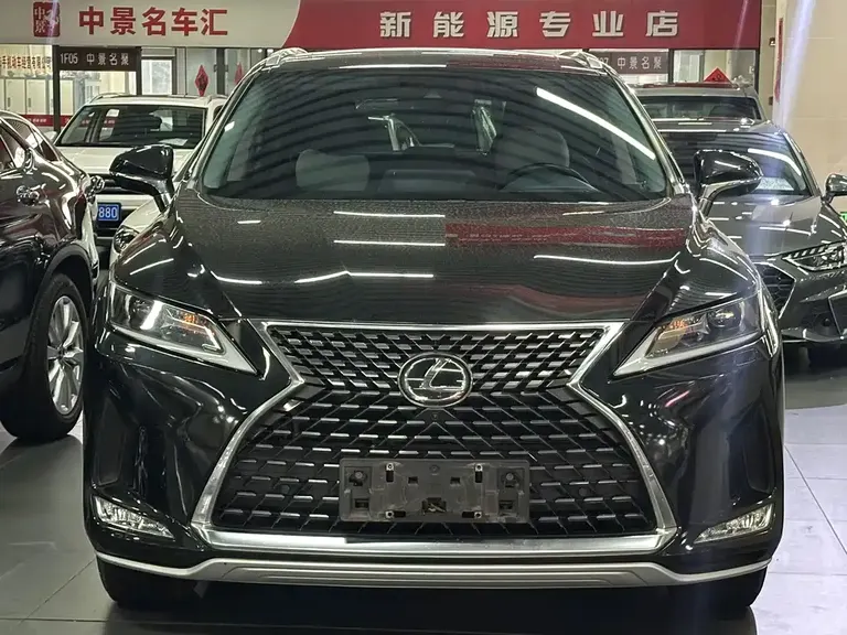 Lexus RX 300 4 WD Elegant CN-VI