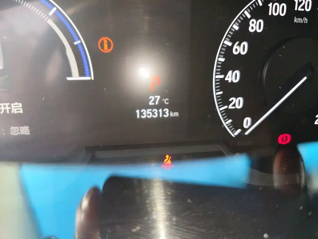 Elysion 2.0 L e:HEV Luxury Early Enjoyment