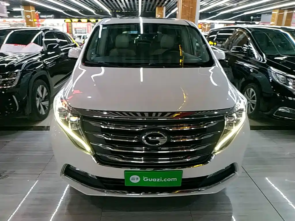 GAC Trumpchi M8 320 T Distinguished