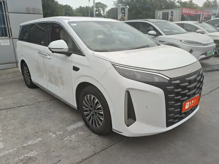 BYD Xia DM-i 1.5 T 180 km Outstanding