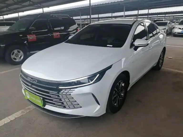BYD Destroyer 05 Glory DM-i 55 KM Luxury