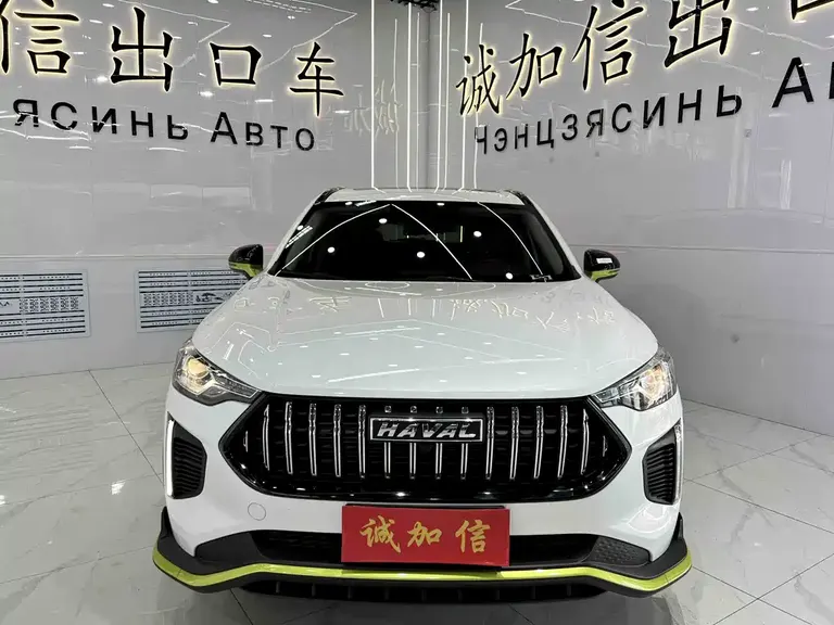 Haval Chitu 哈弗赤兔 2022款 劲享版 1.5 T 黄铜兔