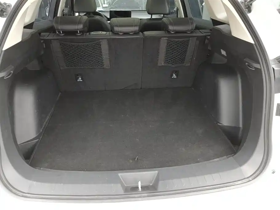 Haval H6 China Style 1.5 T Auto Champion