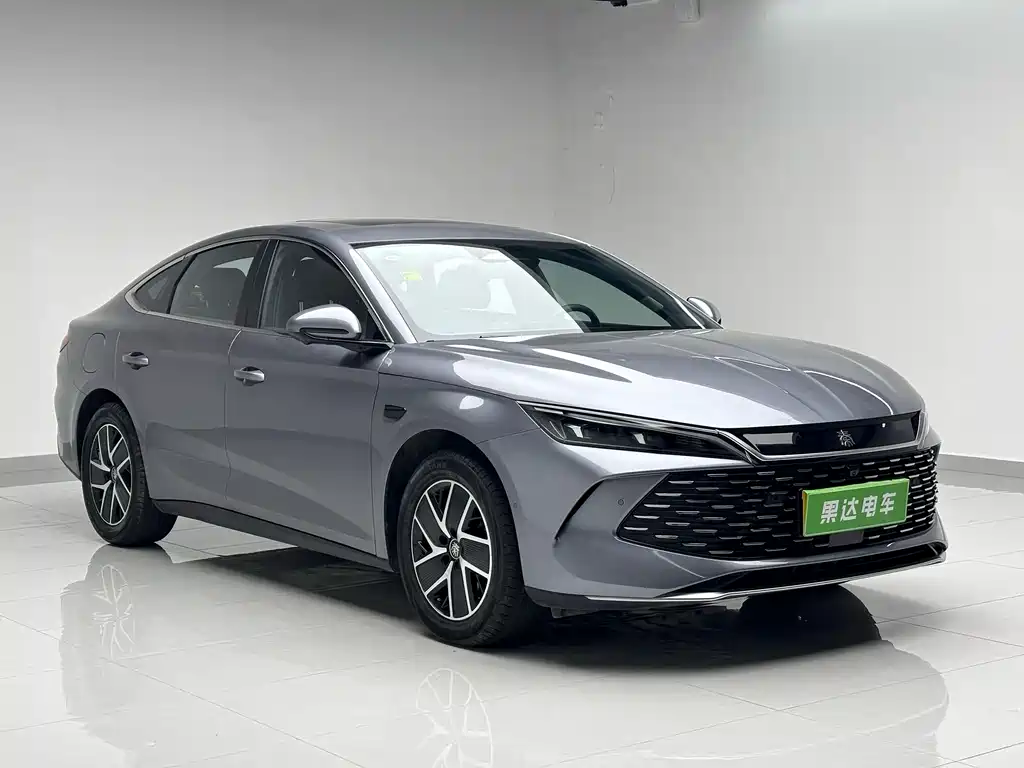 Qin L DM-i Smart Drive 120 KM Transcend