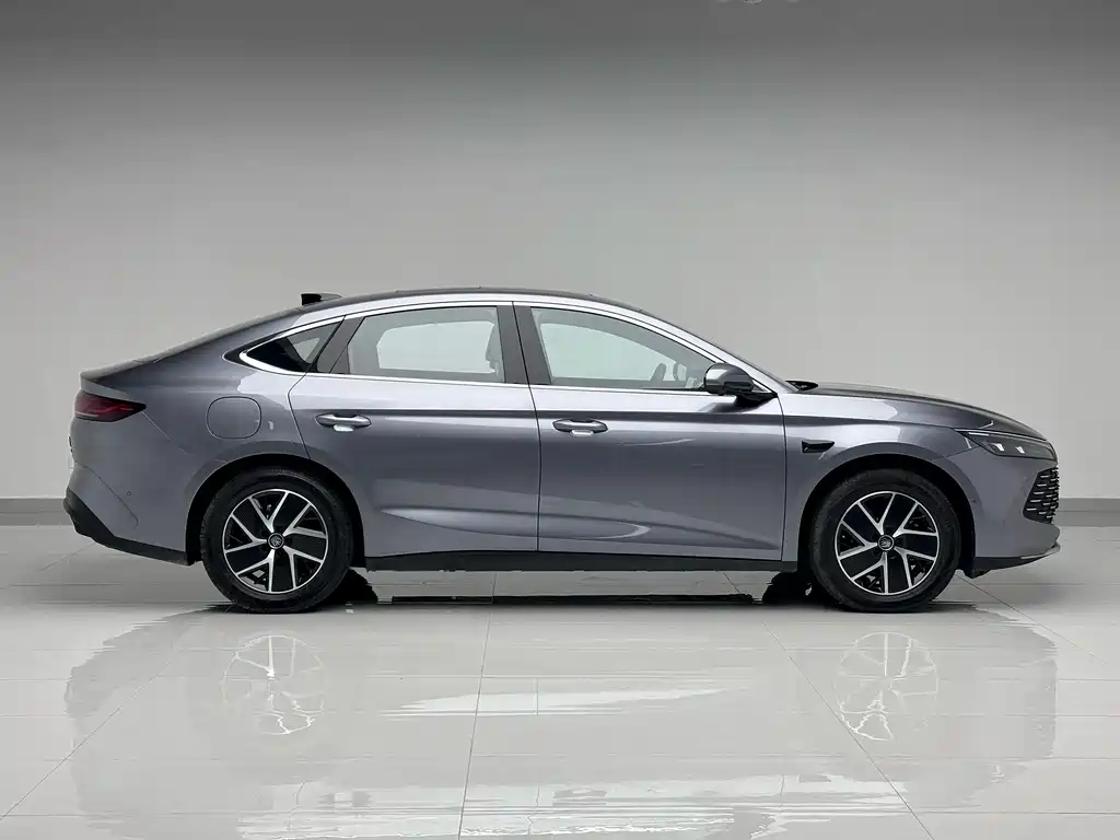 Qin L DM-i Smart Drive 120 KM Transcend