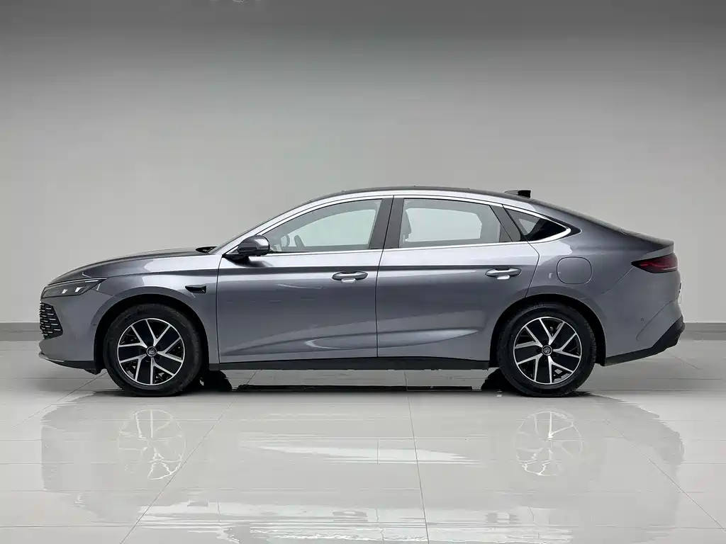 Qin L DM-i Smart Drive 120 KM Transcend