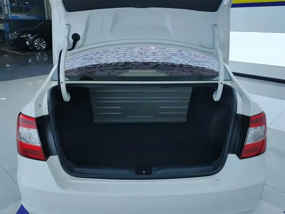 Rapid 1.6 L Manual Forward