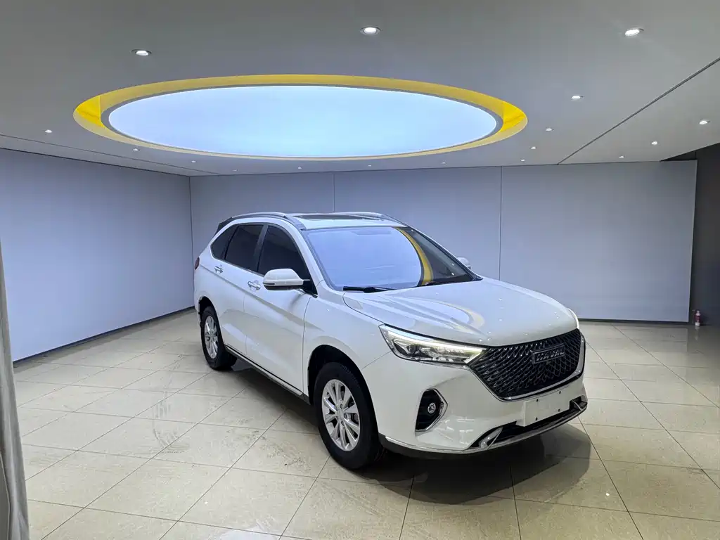 Haval M6 PLUS 1.5 T DCT Luxury Connected