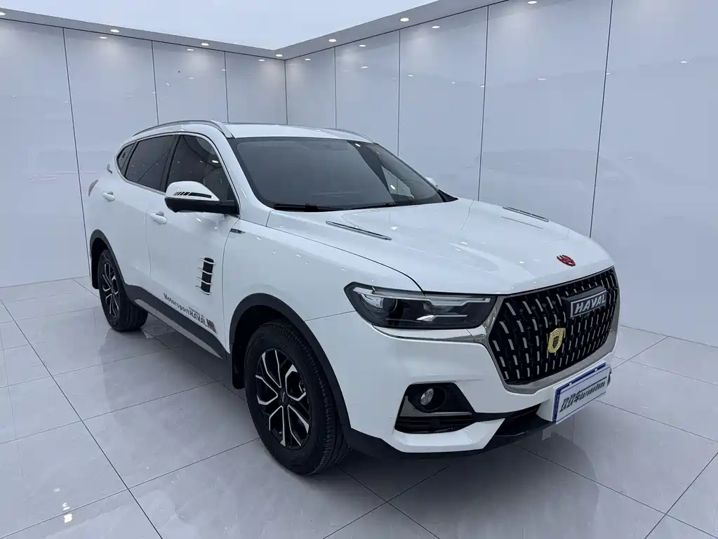 Haval H6 China Style 1.5 T Auto Urban