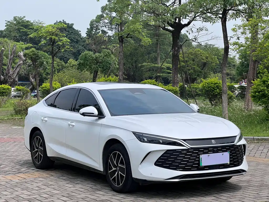 Qin L DM-i 120 KM Transcend