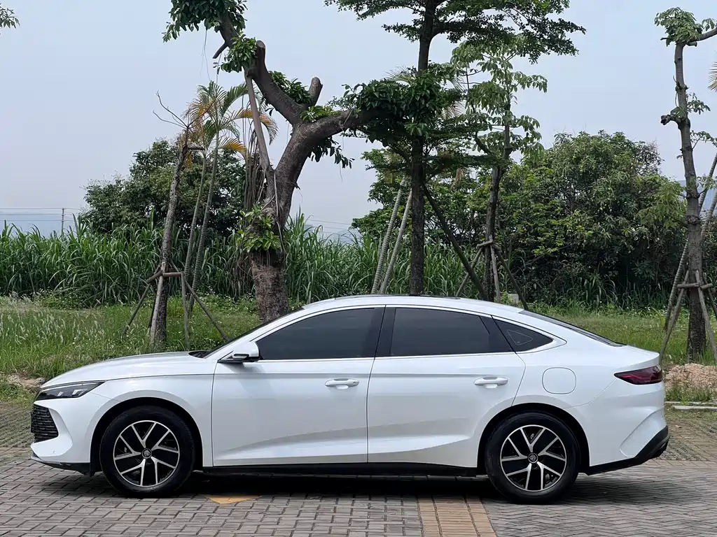 Qin L DM-i 120 KM Transcend