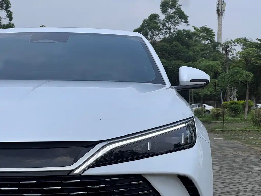 Qin L DM-i 120 KM Transcend