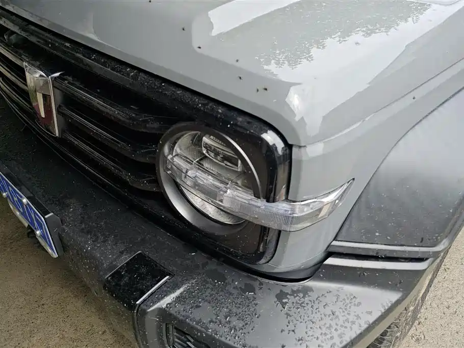 Tank 300 Offroad 2.0 T Conqueror