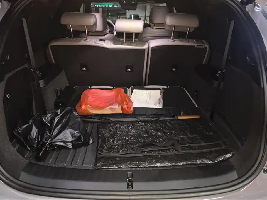 Tang NEV Smart Drive DM-i 115 KM Distinguished