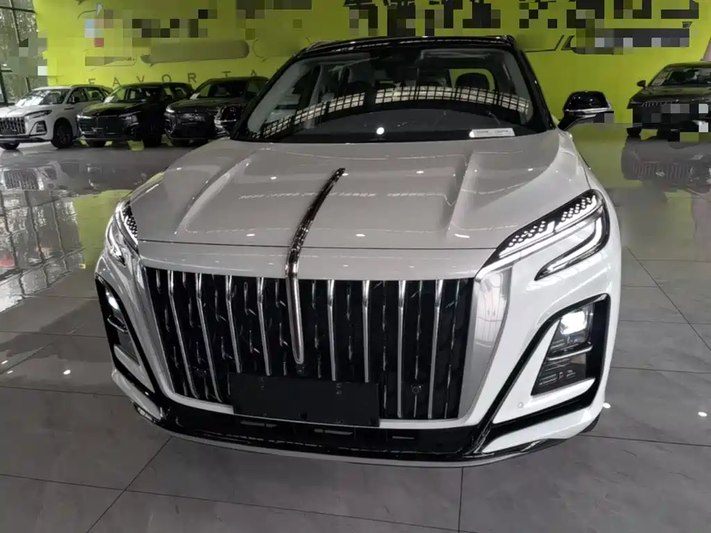 Hongqi HS3 PHEV 117 km Power Action PLUS