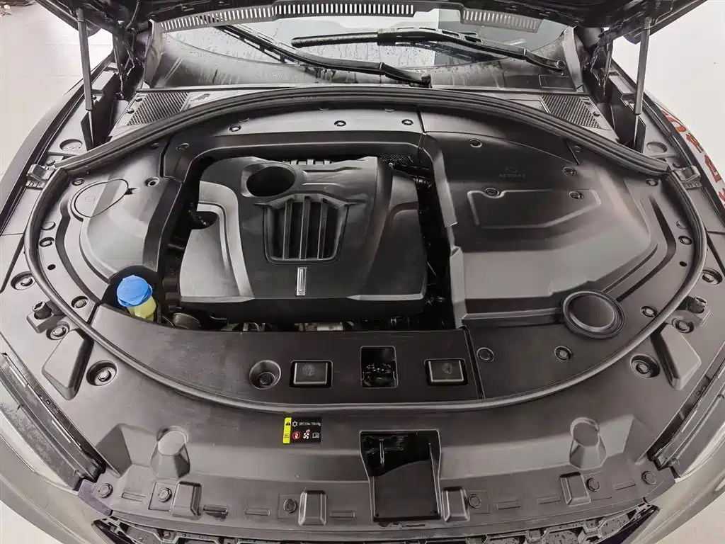 WEY VV7 2.0 T Super Luxury