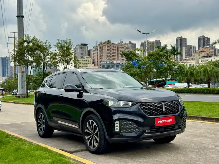 WEY VV6 魏牌 VV6 2019款 2.0 T 四驱旗舰型 国VI