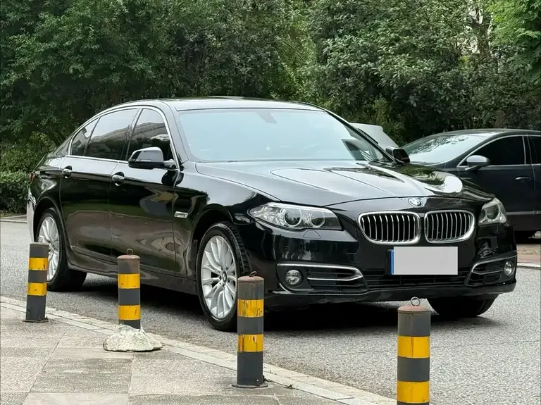 BMW 5 Series 525 Li Luxury Design Package