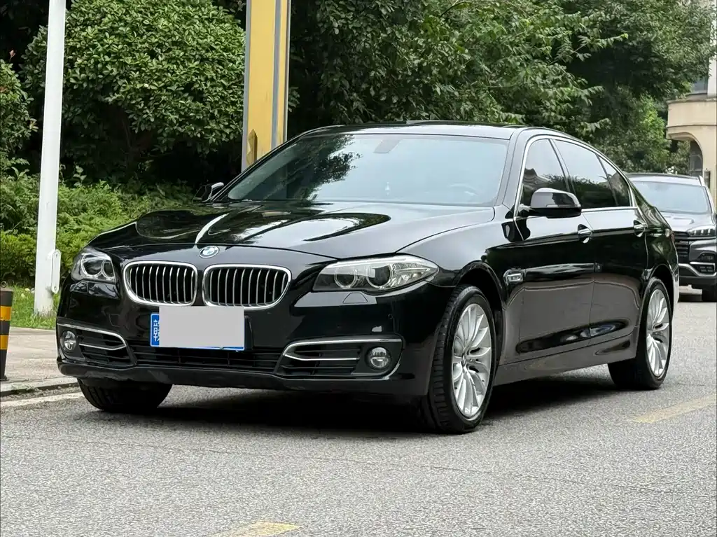 BMW 5 Series 525 Li Luxury Design Package