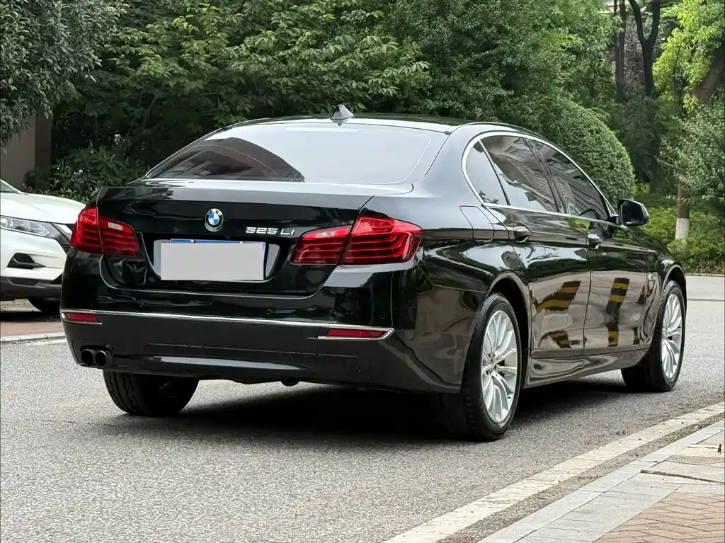BMW 5 Series 525 Li Luxury Design Package