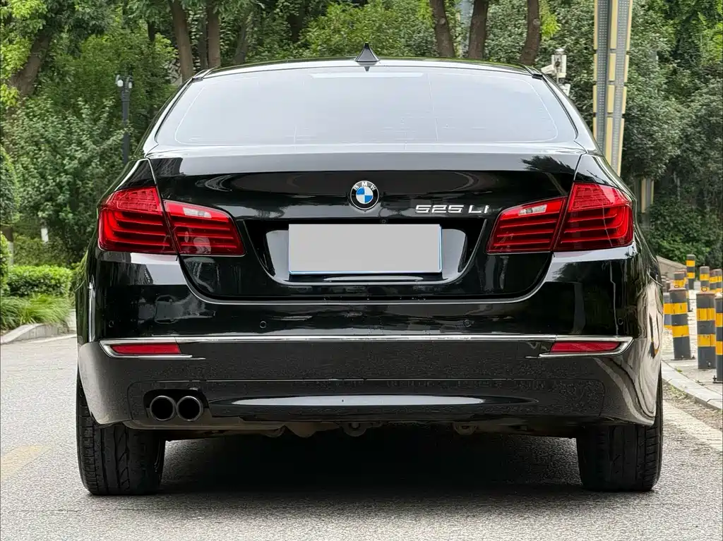 BMW 5 Series 525 Li Luxury Design Package